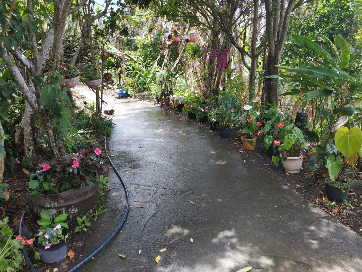 Ker L'Ilet Bed & Breakfast Cilaos Luaran gambar