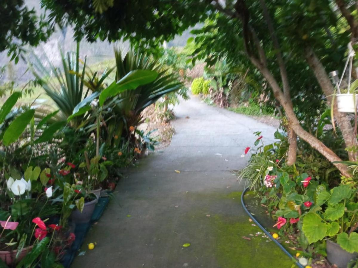 Ker L'Ilet Bed & Breakfast Cilaos Luaran gambar